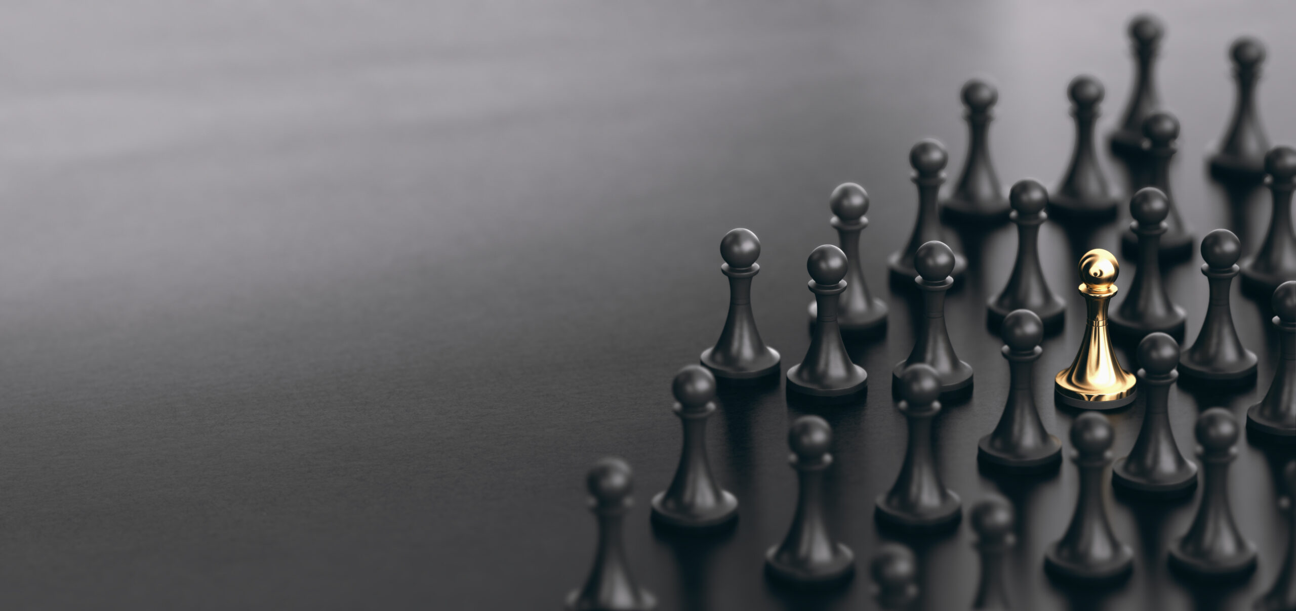 Stand Out From the Crowd SEO Tampa