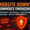 911 Website Down Woo Commerce Emergency