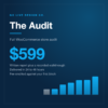 The Audit, a full WooCommerce store audit for $599 from Go Live Design Co.